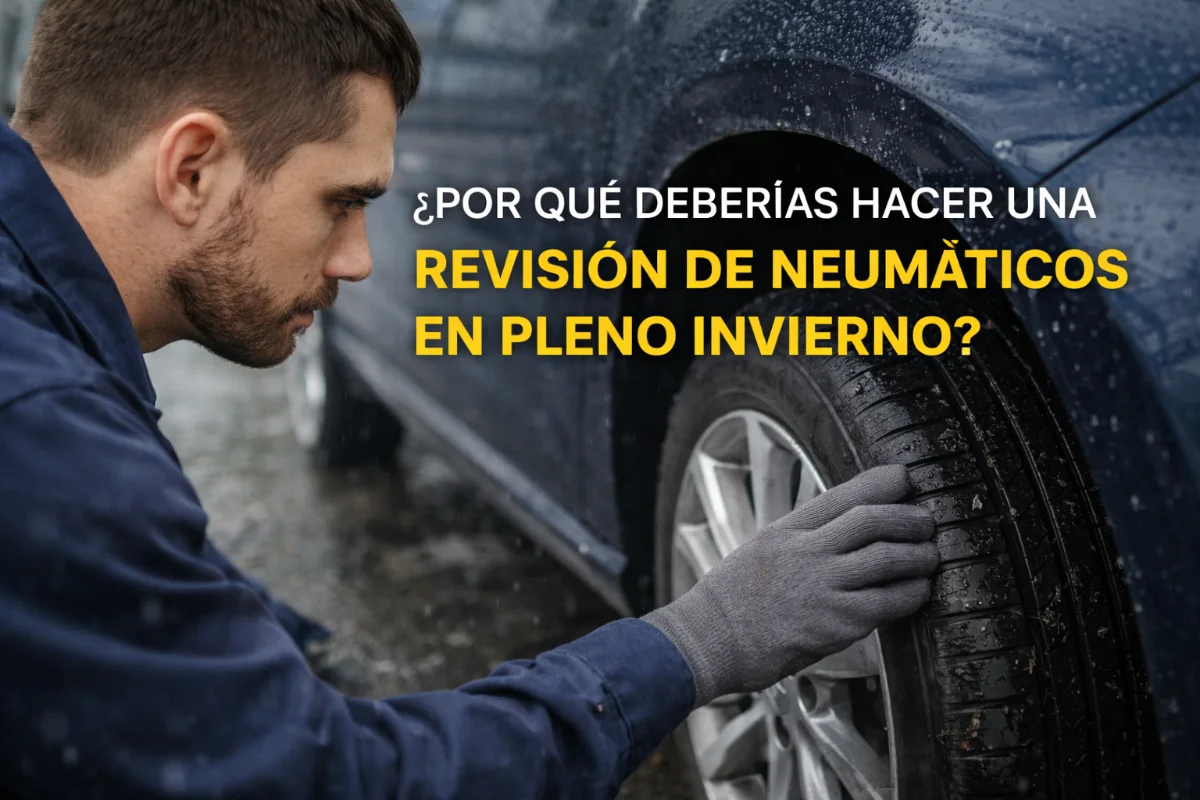 revision neumaticos invierno